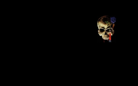 Skull - black, fantasy, halloween, creepy, minimalistic, skull