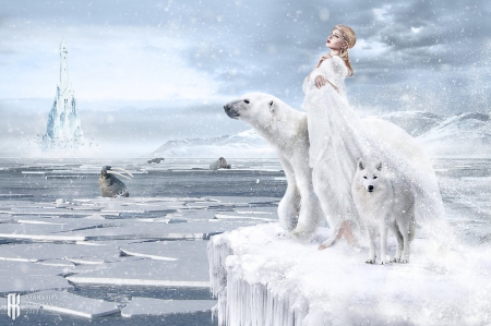 The Kingdom of Snow Queen