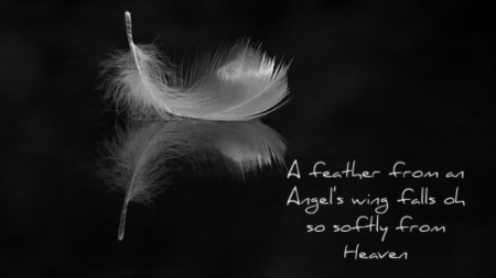 Listen - black, quite, feather, pure