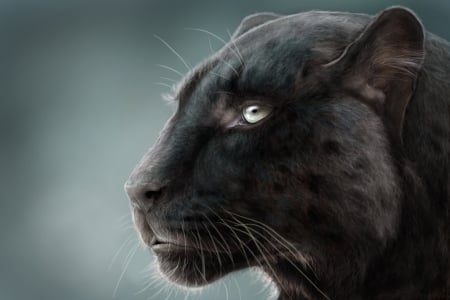 Black panther - pisica, animal, fantasy, black panther, big cat, pantera, luminos