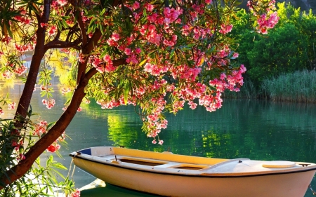 Lake - lake, tree, water, boat