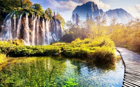 Waterfall - waterfall, tree, food, nature, grass