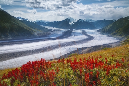 Kaskawulsh-Glacier - nature, snow, wintwer, glacier, flower, kaskawulsh-