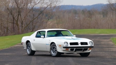 1974-Pontiac-Trans-Am-Super-Duty - white, classic, muscle, gm