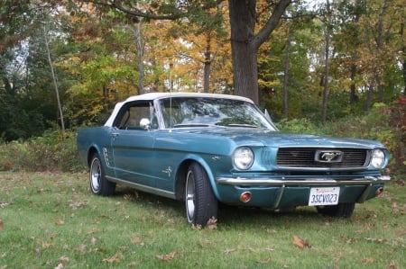 1966 Ford Mustang Convertible 289ci V8 4-Speed - v8, ford, 4-speed, muscle, car, mustang, old-timer, convertible, 289ci