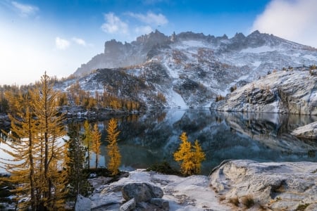 Lake - Lake, water, nature, tree