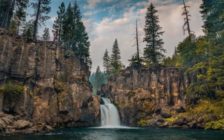 Waterfall - waterfall, tree, nature, rocks