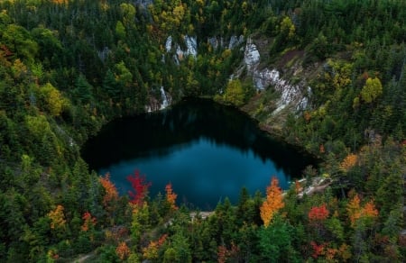 Lake - jungle, Lake, forest, nature