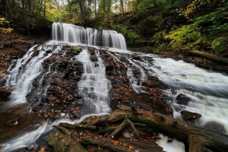 Waterfall - waterfall, tree, nature, river