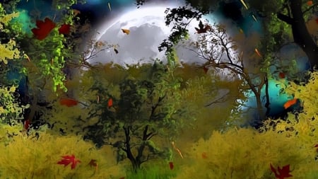 full moon - moon, Autumn, trees, nature