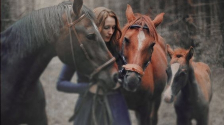 can we be friends - cowgirls, nature, horses, woman