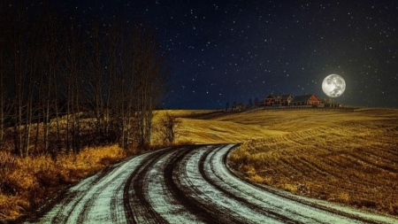 long road home - winter, moon, nature, snow