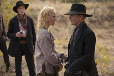 Westworld . . - girls, women, style, fun, female, cowgirl, hats, outdoors, western, actors, blondes, cowboys, ranch, tv