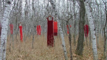 Hanging - trees, nature, leaf, forrest