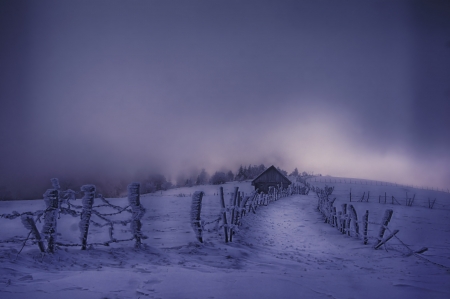 evening calls - winter, house, snow, country