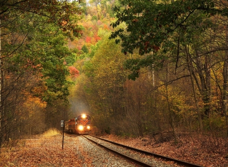 Train through Autumn Forest - train, autumn, forest, through