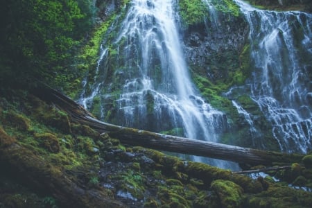 Waterfall - forest, rocks, waterfall, tree, nature, jungle