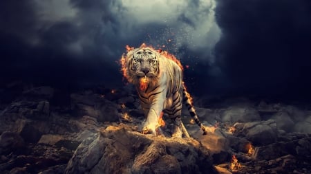 Fantasy tiger - cat, luminos, big, fire, fantasy, tiger, pisica, tigru