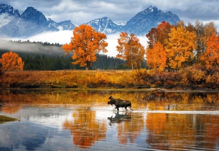 Wyoming Glen Chut