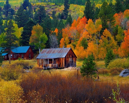 Lake Tahoe Fall Colors - autumn, california, trees, leaves, colors, cabins