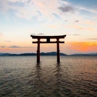 Torii Gate