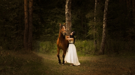 hey there - woman, nature, girl, horse