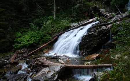 Beautiful waterfall - nature, tree, forest, waterfall