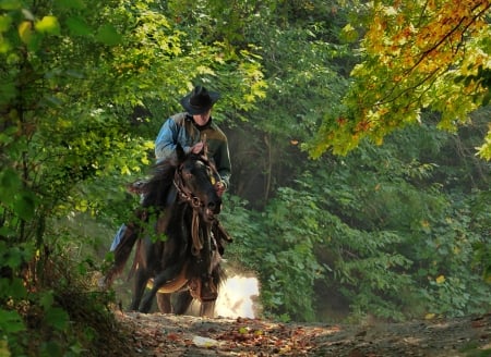 Cowboy - tree, horse, forest, man