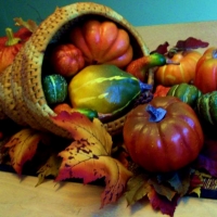 Pumpkins And Gourds