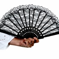 Hand Fan