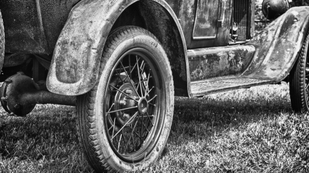 wheel - black, field, car, wheel