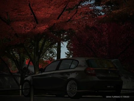 BMW IN SHANGHAI - bmw, 1series