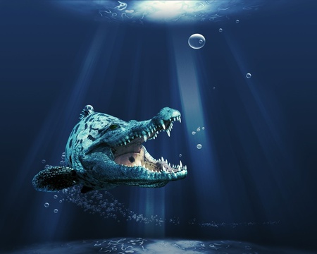 FishCroc - predator, water, reptile, croc