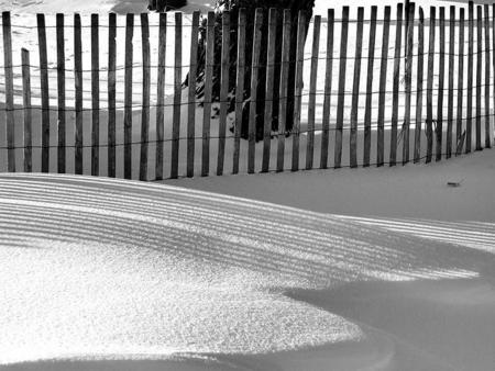 A tree behind a fence in Winter - snow, winter, fence, tree