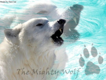 Howling Wolf - wolf, paw, wolves, white, arctic, howling