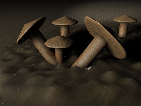 wood mushrooms - abstract, textures, 3d