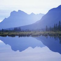 Lake reflections