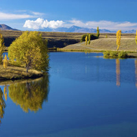 Lake reflections