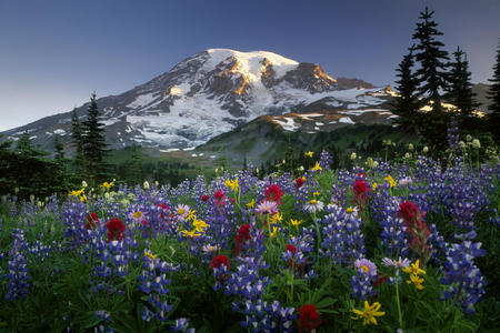 National park - landscape, mountain, sky