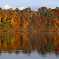 Lake reflections