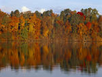 Lake reflections