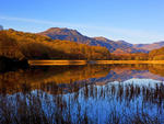 Lake reflections