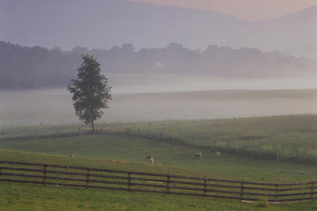 landscapes - landscapes, mountains