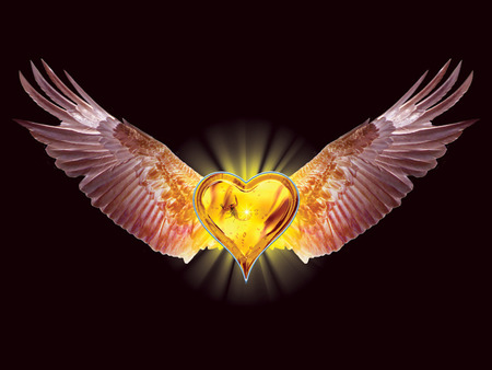 Eagle Heart - black, heart, wing, gold, love, dark