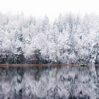   river  winter  snow  trees