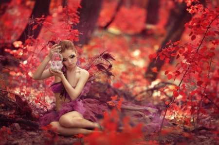 autumn fairy - flowers, cage, autumn, girl, fairy, orchids, feathers, forest