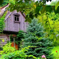 A House among Greenery