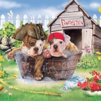 Pirate pups