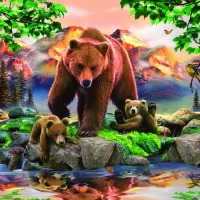 Bears