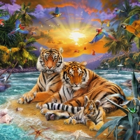 Tigers at sunset